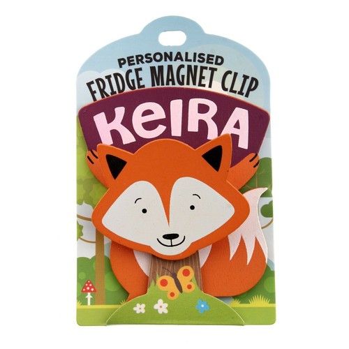 Fridge magnet clip - magnet,