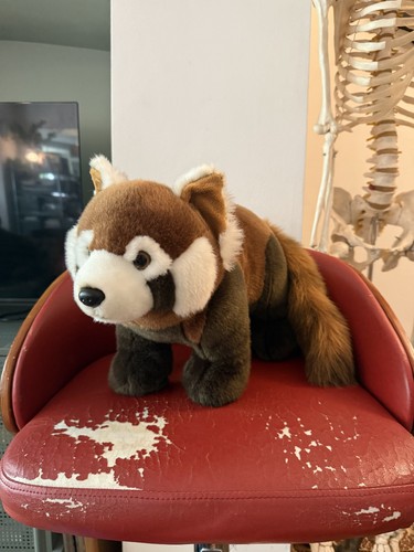 Official london zoo red panda - official,