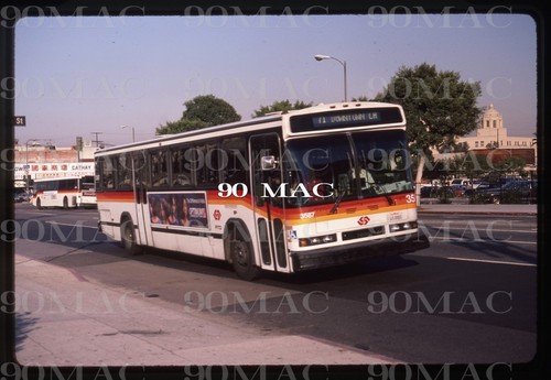 Scrtd neoplan bus 3587 - scrtd., los
