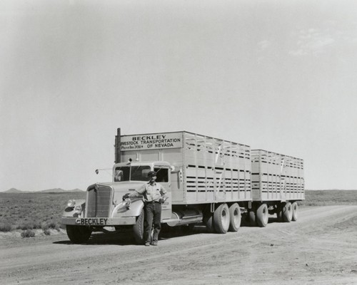 Beckley livestock - beckley,