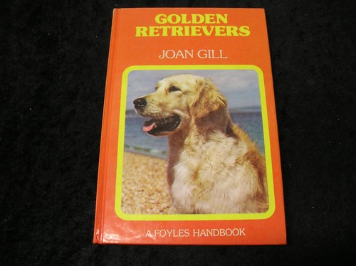 Golden retrievers - golden,