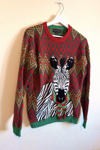 Blizzard bay zebra - blizzard, festive
