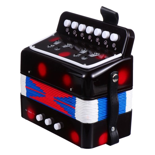 Beginner kids accordion - accordion, toy