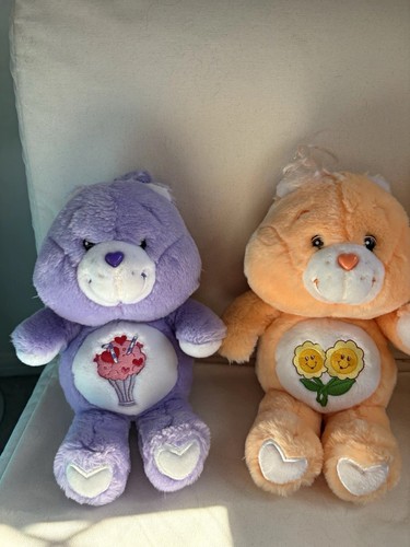 Care bears secret bear plush - care,