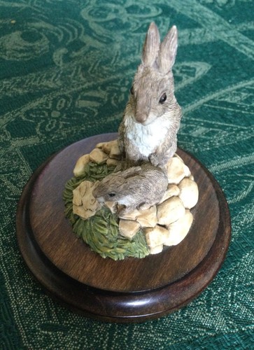 Country artists rabbit with - country,