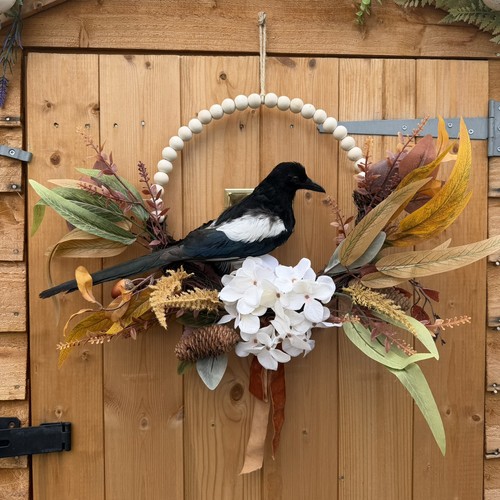 Taxidermy magpie wall - wall, hanging