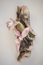 RARE Boehm Cymbidium