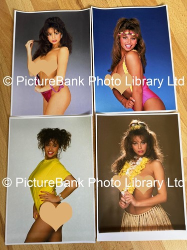 Maria whittaker misprint - whittaker,
