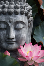 BUDDHA CANVAS PICTURE PRINT