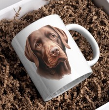 Chesapeake Bay Retriever Dog