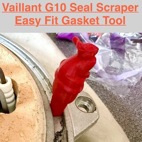 Bunny g10 seal - bunny,