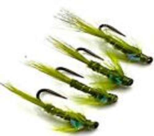 Trout fly fishing flies - fly, olive