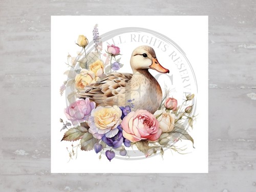Spring duck floral rose - duck,