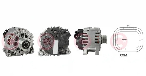 Alternator with freewheel belt