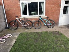 Boardman Team Large Size 27.5