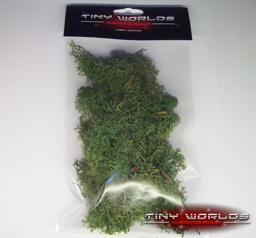 Lichen foliage dark green - lichen,