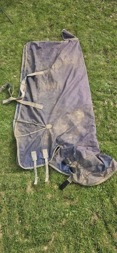 6ft6 350g rhinegold turnout - 6ft6,