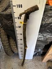 BLACKTHORN Huge WALKING STICK