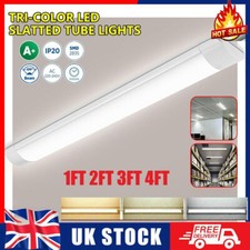 1ft 2ft 3ft 4ft Bright