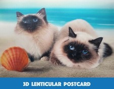 CAT - 3D Lenticular Postcard