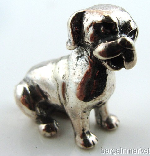 Cute mini silver pooch mixed - cute,