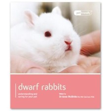 Dwarf Rabbit - Pet Friendly - Anne Mcbride