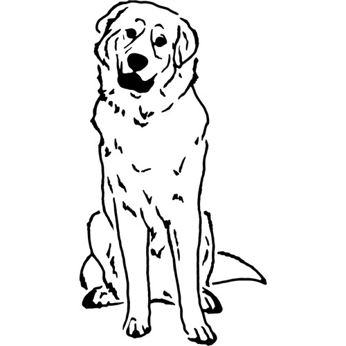 Pyrenean mountain dog - 'pyrenean, dog'