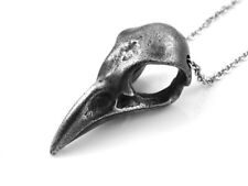 Antiqued Blue Jay Bird Skull