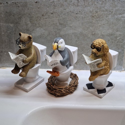 Animals toilet bathroom - toilet,