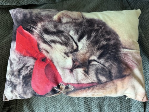 Cat lovers christmas cushion - cat,
