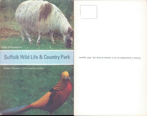 Suffolk wildlife country park - wildlife,