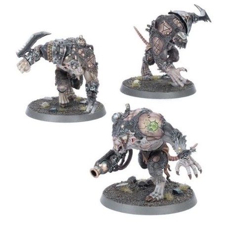 Rat ogors bnos - x,