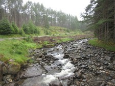 Photo A2 White Water, Glen