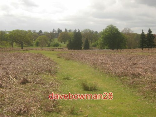 Photo mersham hatch - photo, mersham-le-hatch