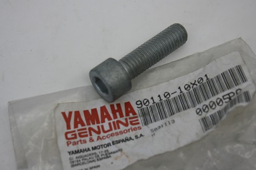 Swing arm bolt - swing, yamaha