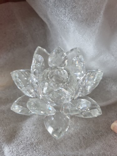 Swarovski waterlilly - swarovski,