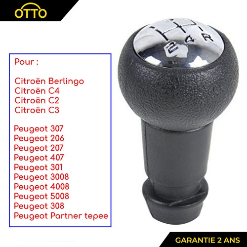 Chrome gear knob - knob, speed