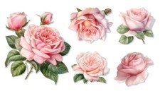5 x Watercolour Rose Stickers