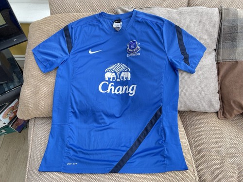 Nike everton training shirt - nike,