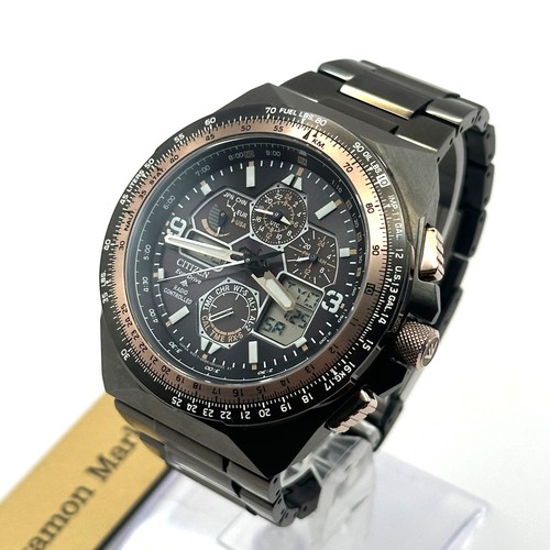 Citizen promaster sky - citizen,
