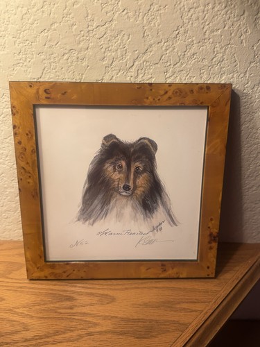 Vintage sheltie signed framed - sheltie,