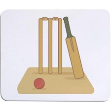 'Cricket Pitch Essentials'