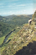 Dolgelly. Precipice Walk. 1965