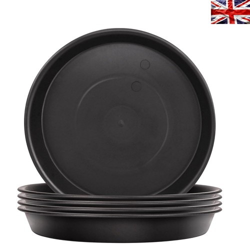 High design 14cm black plant - high-design,