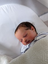 Realborn Phineas Reborn Baby Doll **Rooted by Prototype Artist Alexa Calvo**