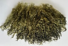 50gm WENSLEYDALE  Long LOCKS