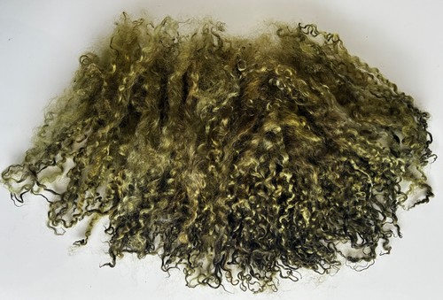 50gm wensleydale long locks - 50gm,