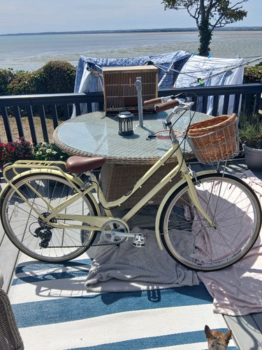 Dawes duchess heritage bike - heritage,