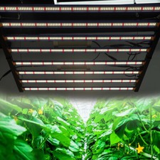 Spider 8000W Most Efficient