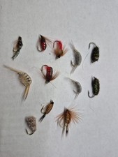 Job Lot Nymphs Various × 12